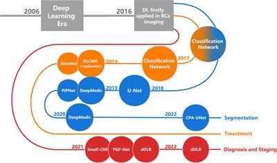 Deep learning in bladder cancer imaging: A review